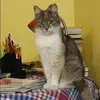 Отзыв от Ида Усова